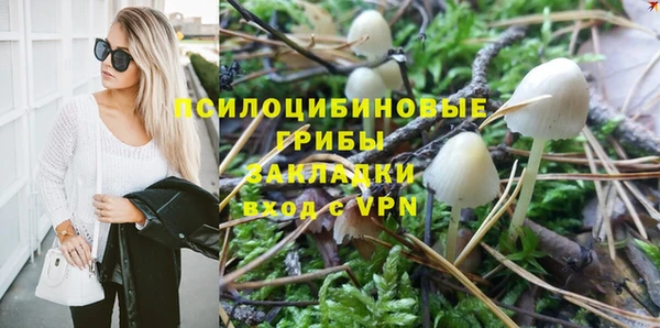 PSILOCYBIN Белоозёрский