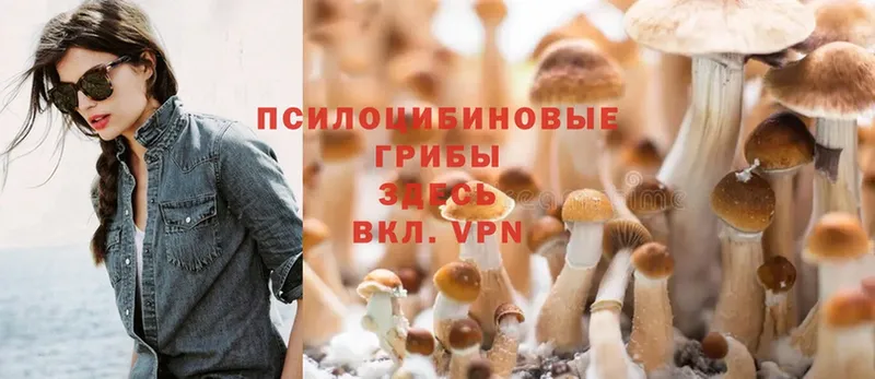 Псилоцибиновые грибы Psilocybine cubensis  мега сайт  Шлиссельбург 